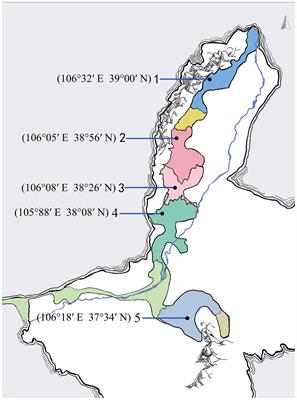 Genetic diversity of non-Saccharomyces yeasts associated with spontaneous fermentation of Cabernet Sauvignon wines from Ningxia, China